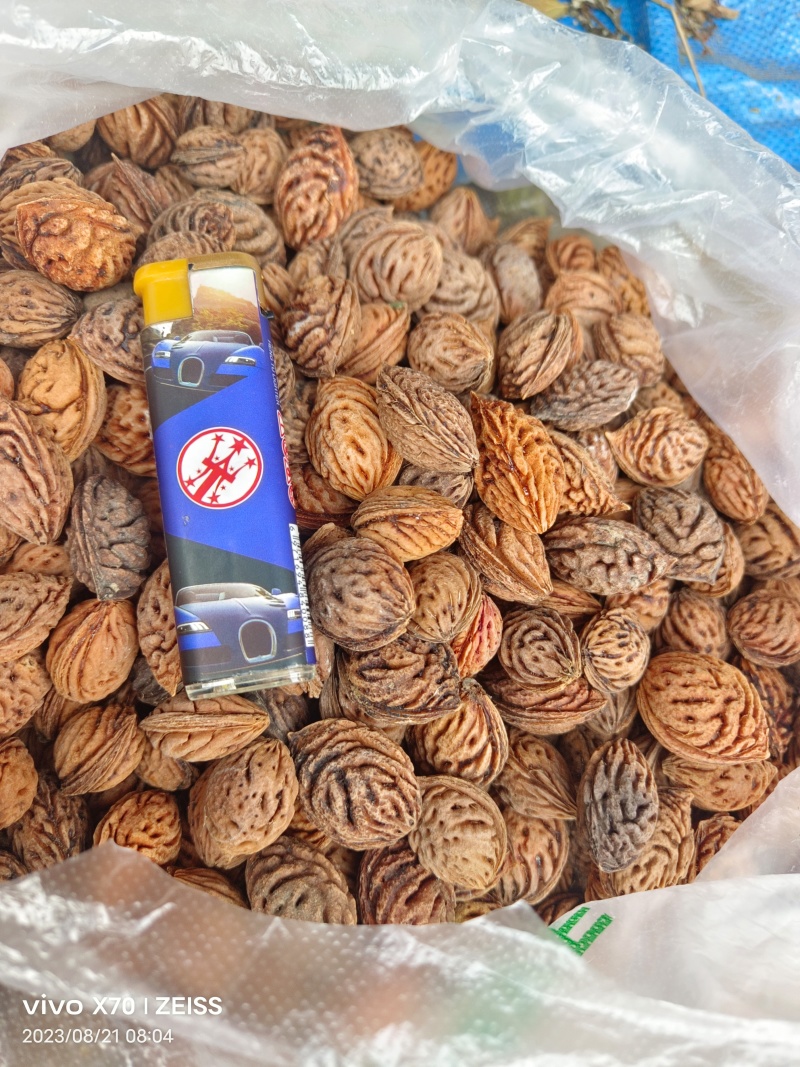 桃核桃仁，毛桃核一手货源产地直发
