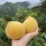 桂东锦绣高山黄桃