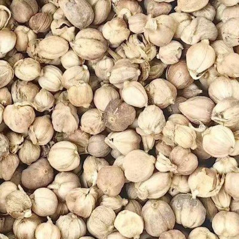 白寇白豆蔻白扣白蔻
