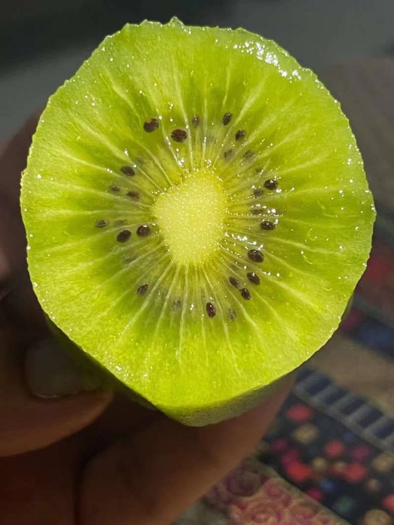 高品质碧玉猕猴桃，