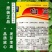 纯2年生，白芷种子，2025年新采摘，纯正，发芽率高