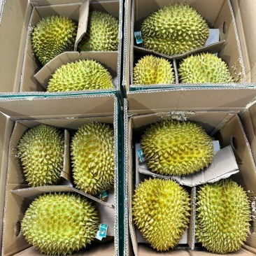 榴莲