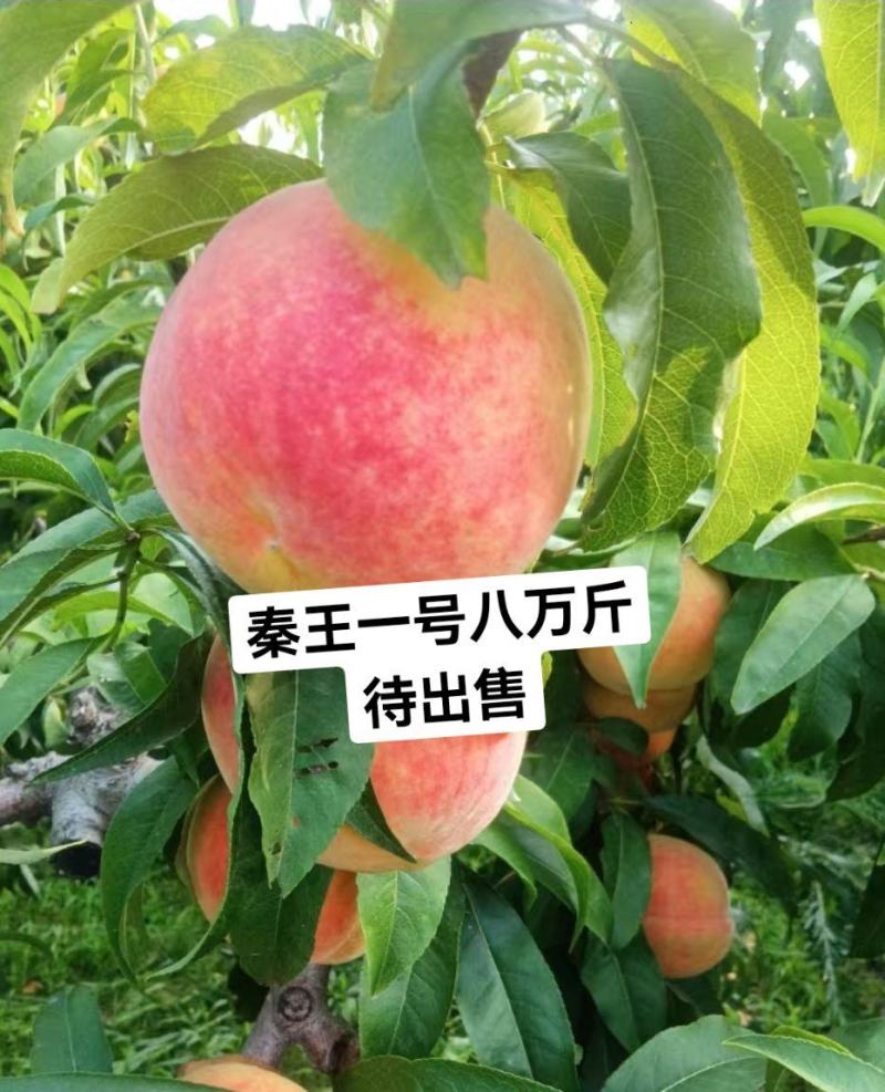 脆甜桃