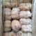 【卤味】五香捆肘24个左右3吨