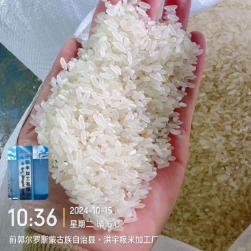 中科发5长粒香大米