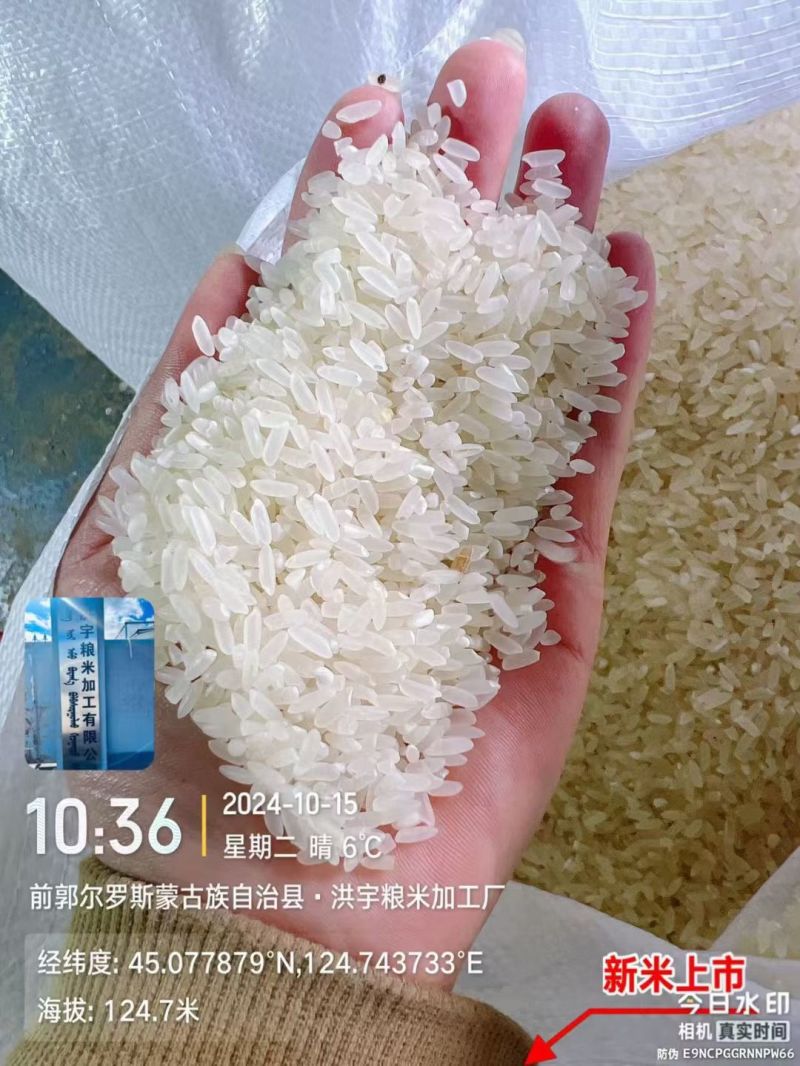 中科发5长粒香大米