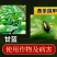 20%联苯噻虫胺22%噻虫高氯氟噻虫嗪刺吸害虫防治合一