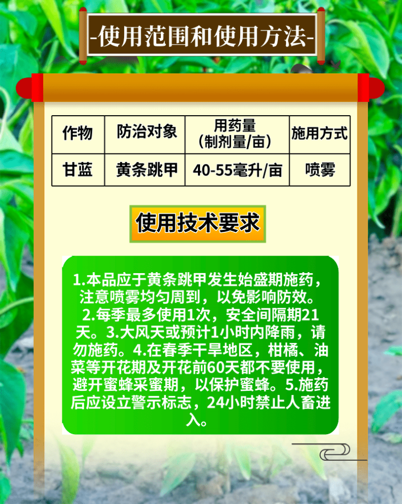 24%阿维氟啶20%联苯噻虫胺跳甲蚜虫刺吸害虫持效期长