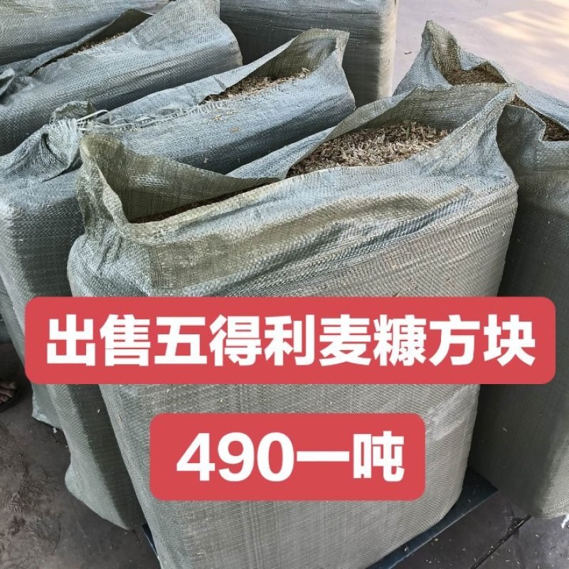 五得利压缩麦糠方块无土无膜无霉变全部过筛除尘