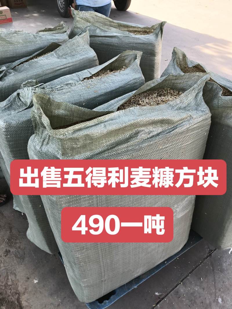五得利压缩麦糠方块无土无膜无霉变全部过筛除尘