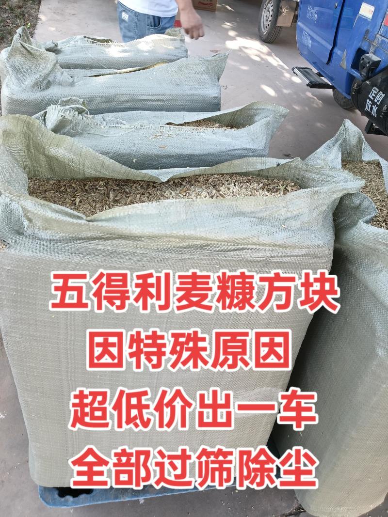 五得利压缩麦糠方块无土无膜无霉变全部过筛除尘