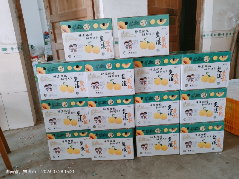 炎陵黄桃