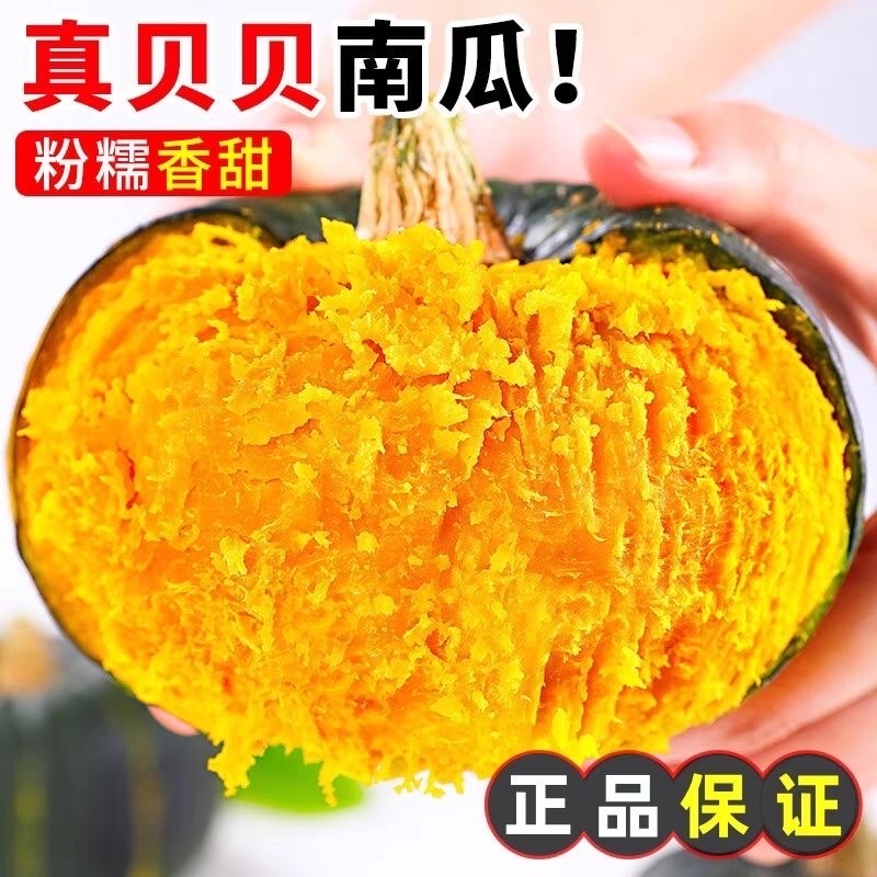 一件代发内蒙古贝贝南瓜产地直发板栗贝贝南瓜粉糯香甜