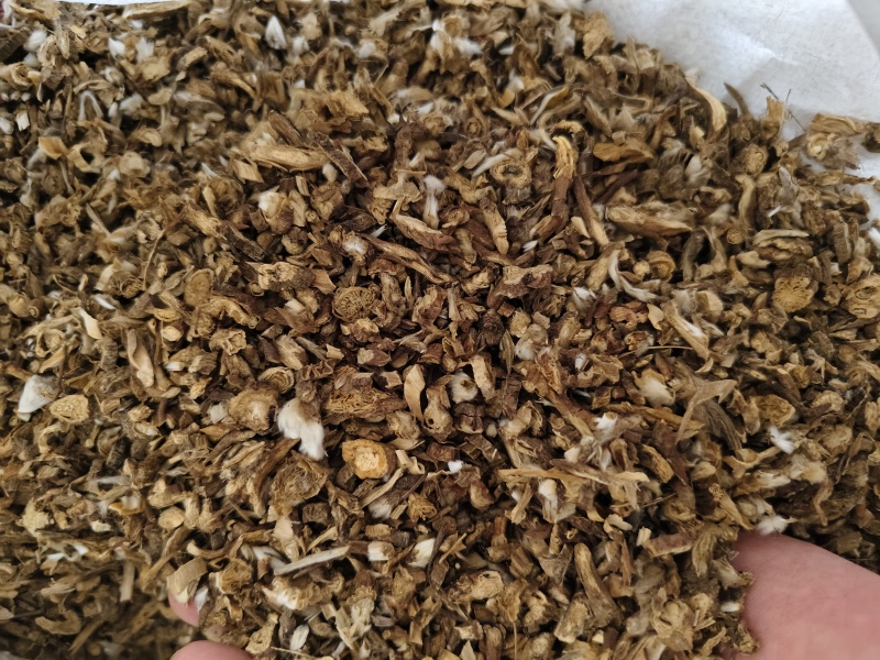 白头翁甘肃东北白头翁规格齐全批发零售