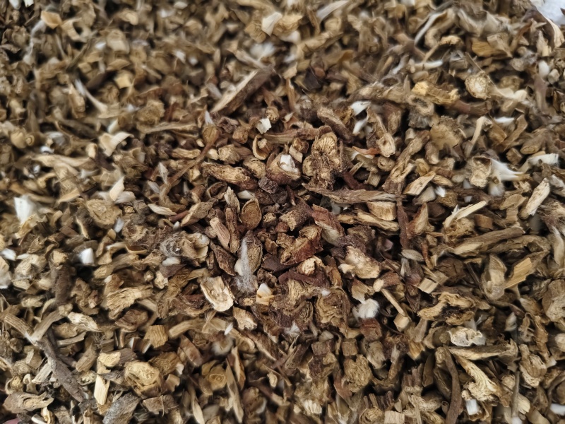 白头翁甘肃东北白头翁规格齐全批发零售