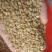 25年普白麦1000吨