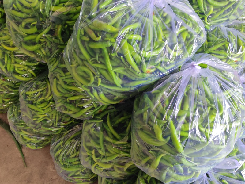 精品杭椒