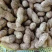 湖北天门鲜花生天府中花，现采现发质量保证，欢迎咨询