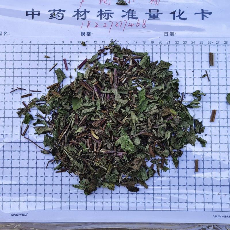 薄荷