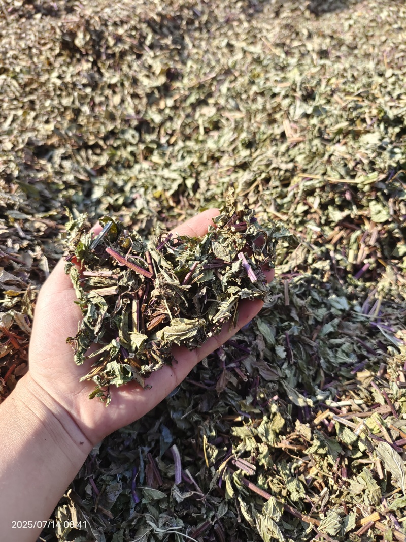 薄荷