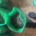 海带丝，干海带丝，厂家直发，无沙，无盐