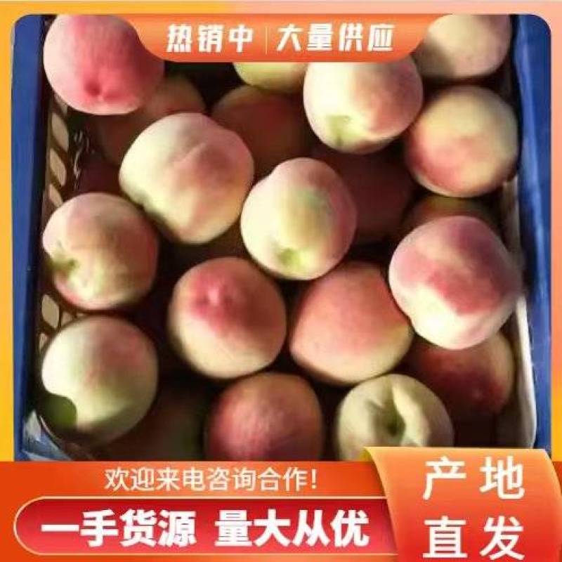 湖北毛桃突围桃大量上市中产地直供欢迎新老客户前来洽谈