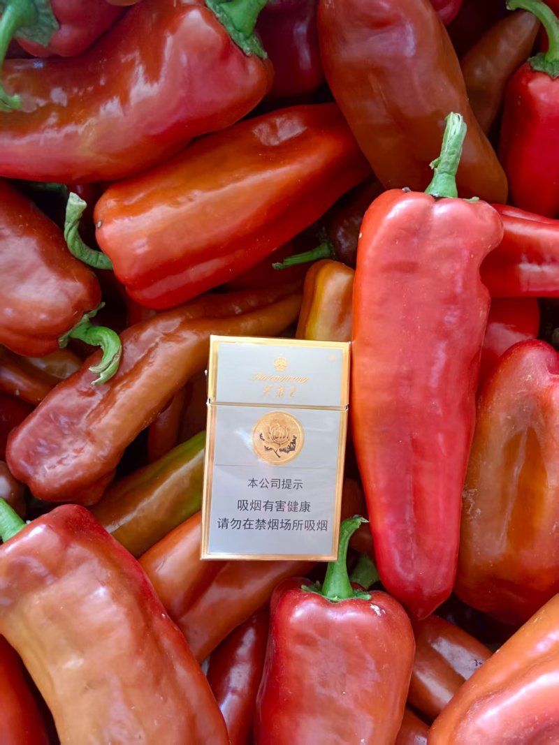 老板你好，今天（8月2日），鲜辣椒价格很不错，如果需要，