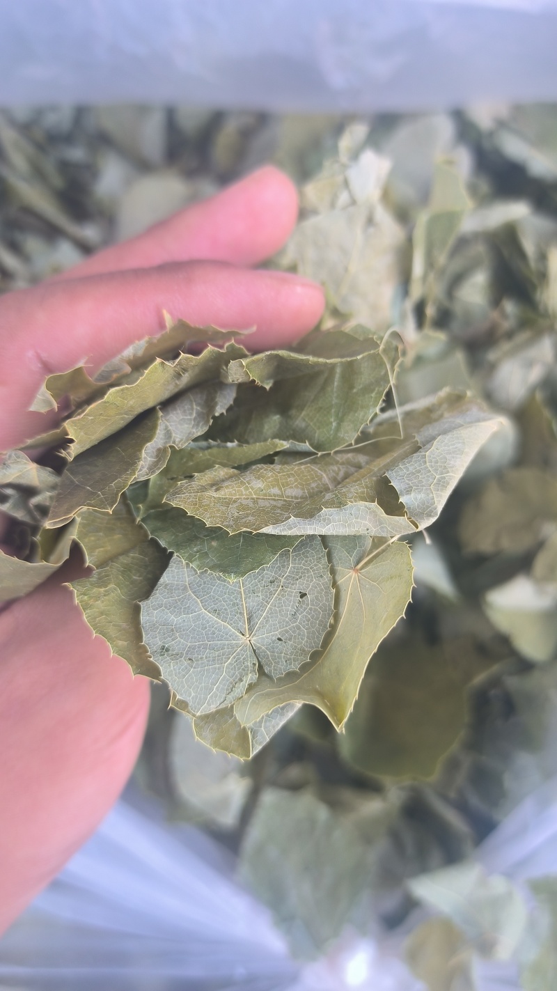 淫羊藿手选淫羊藿正品质量保证诚信经营……