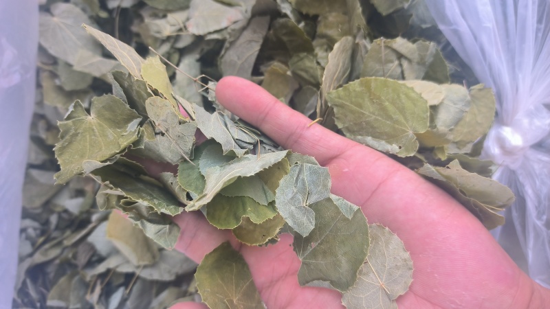 淫羊藿手选淫羊藿正品质量保证诚信经营……