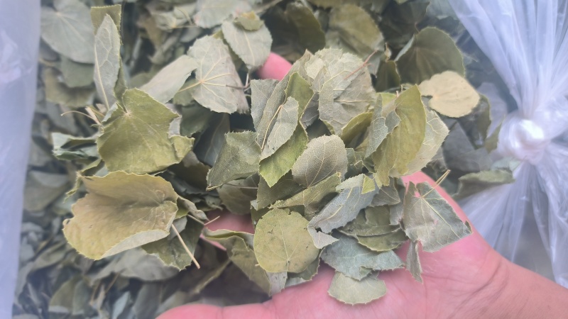 淫羊藿手选淫羊藿正品质量保证诚信经营……
