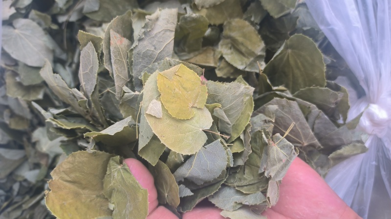淫羊藿手选淫羊藿正品质量保证诚信经营……
