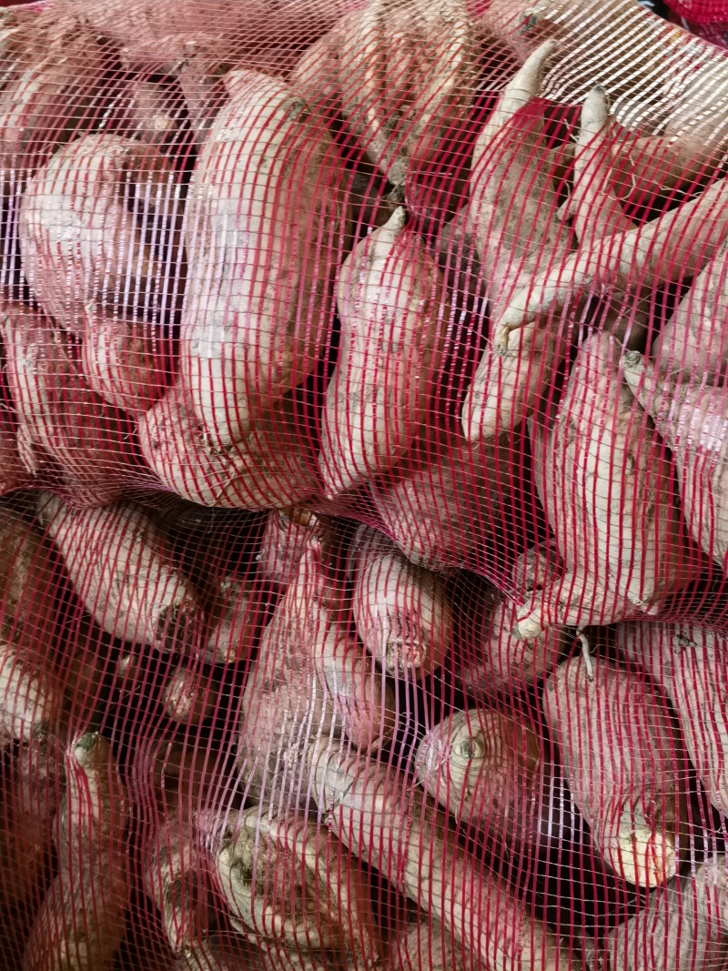 大头，残薯，宝宝薯
