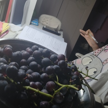 早蜂王葡萄，夏黑葡萄