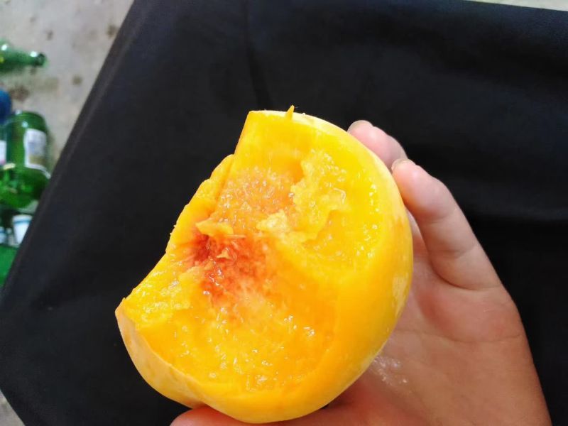 黄桃，