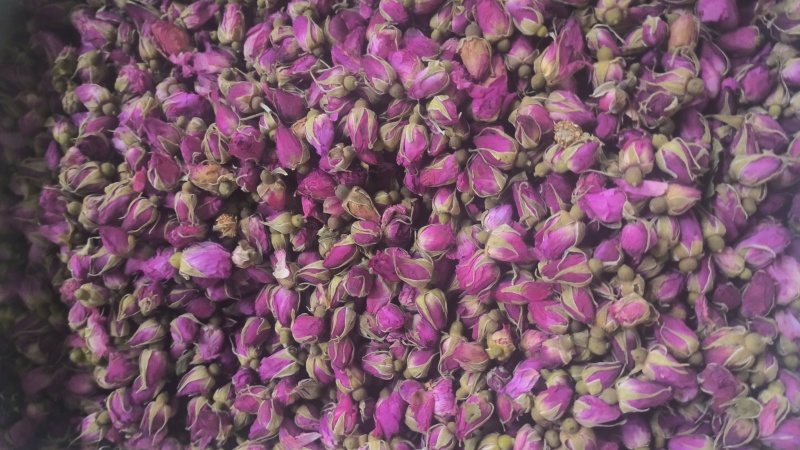 玫瑰花平阴玫瑰苦水玫瑰无硫质量保证诚信经营