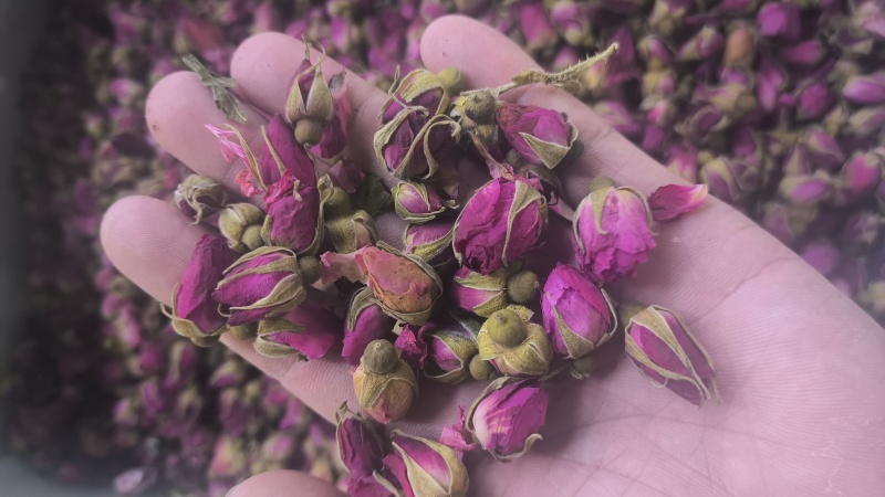 玫瑰花平阴玫瑰苦水玫瑰无硫质量保证诚信经营