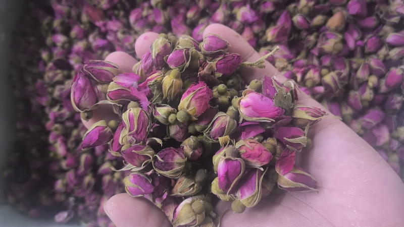 玫瑰花平阴玫瑰苦水玫瑰无硫质量保证诚信经营