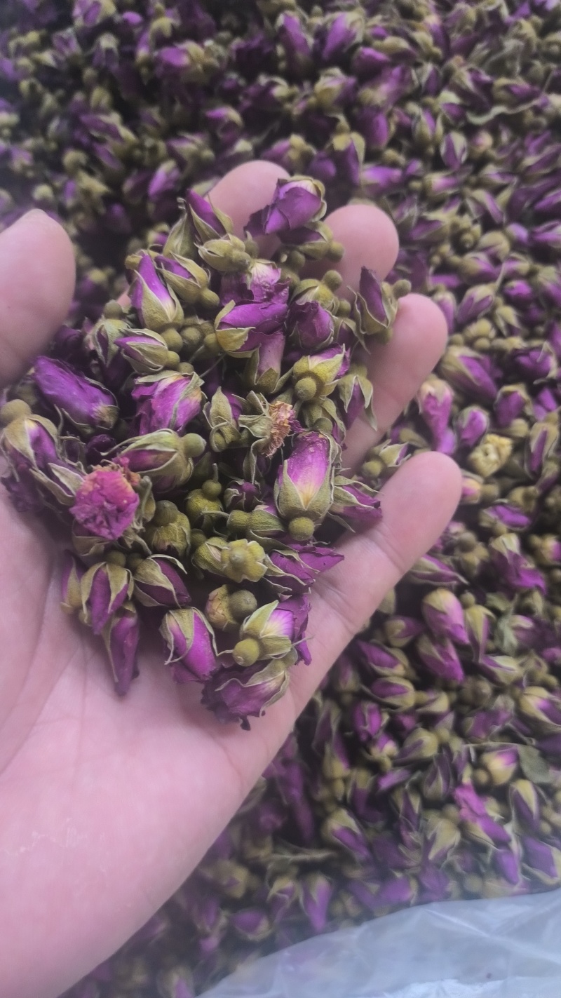 玫瑰花平阴玫瑰苦水玫瑰无硫质量保证诚信经营