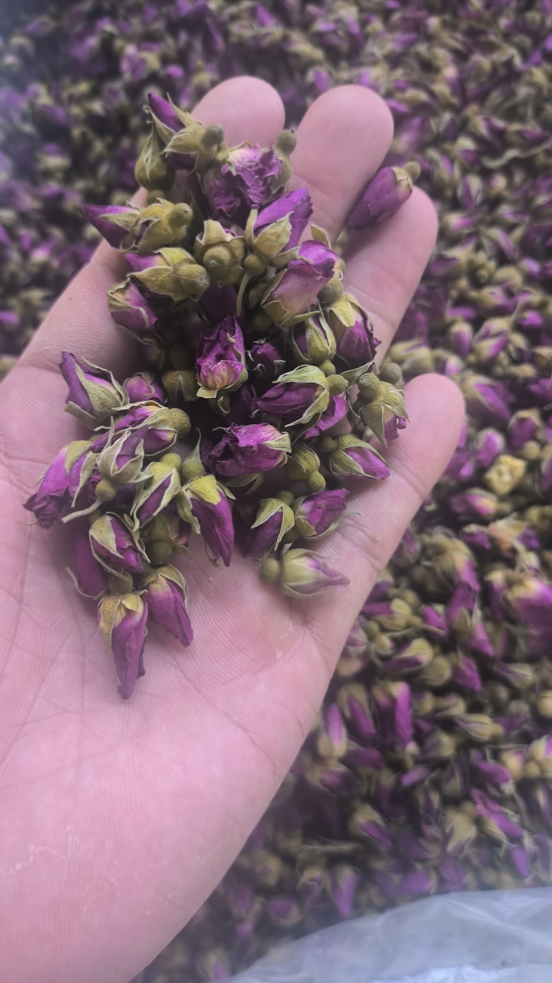 玫瑰花平阴玫瑰苦水玫瑰无硫质量保证诚信经营