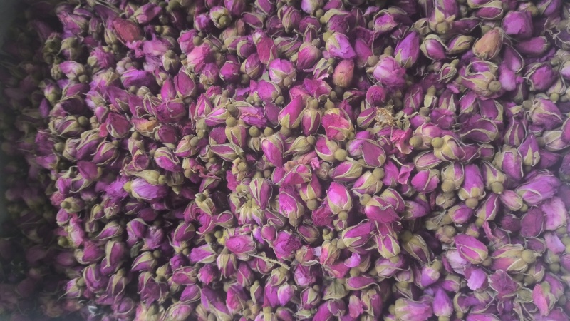 玫瑰花平阴玫瑰苦水玫瑰无硫质量保证诚信经营