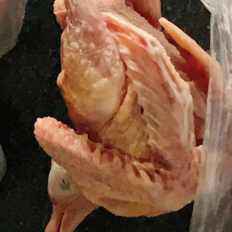 二级鸽子肉