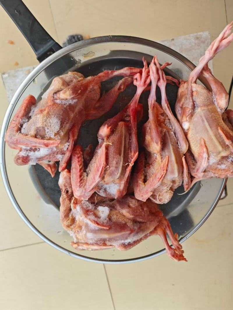 二级鸽子肉