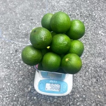 塔西提，小青柠，土柠檬等各种规格都有，产地直发，