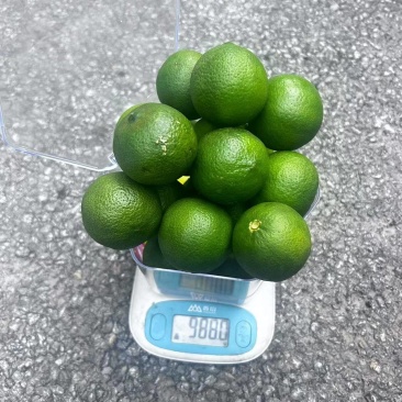 塔西提，小青柠，土柠檬等各种规格都有，产地直发，