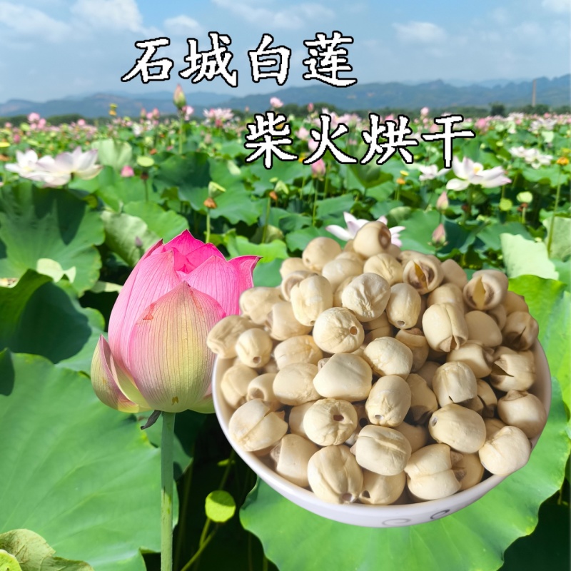 2025新莲子干货500g去芯正宗纯手工白莲江西石城特