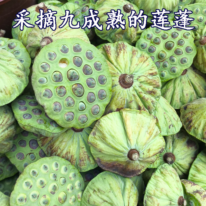 2025新莲子干货500g去芯正宗纯手工白莲江西石城特