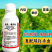 5%联苯噻虫嗪联苯菊酯杀虫剂蚜虫飞虱粉虱刺吸式虫害农药