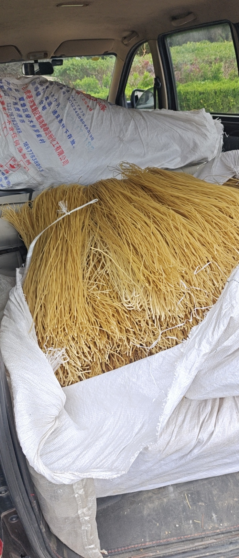 粉条