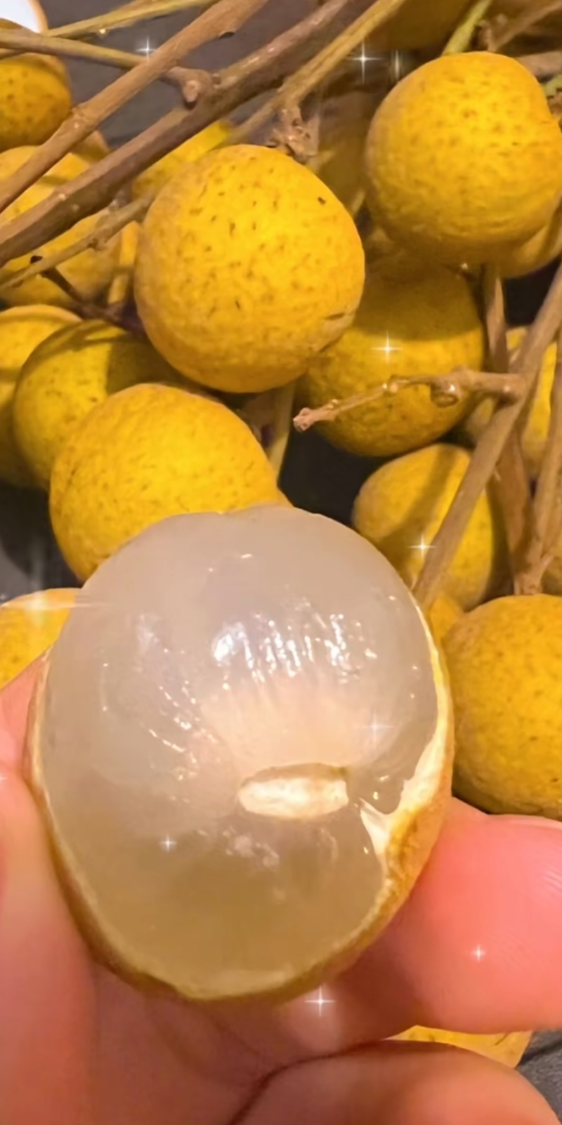 梅州石硖龙眼，大量成熟现货多多，欢迎合作