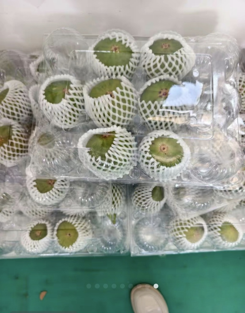 威海青皮无花果大量供应欢迎老板洽谈合作